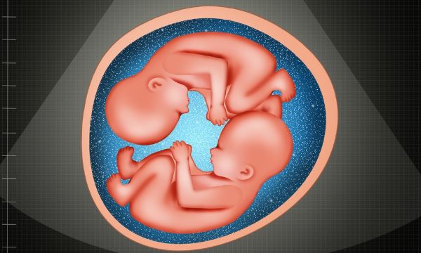 揭秘試管嬰兒雙胞胎：專家解答孕育奧秘